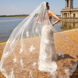 Ollie Veil