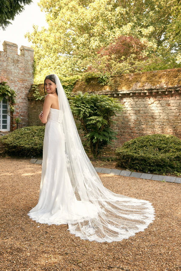 Ollie Veil